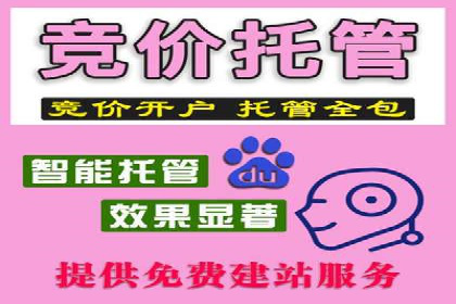 百度推广实战：案例分享与数据解读